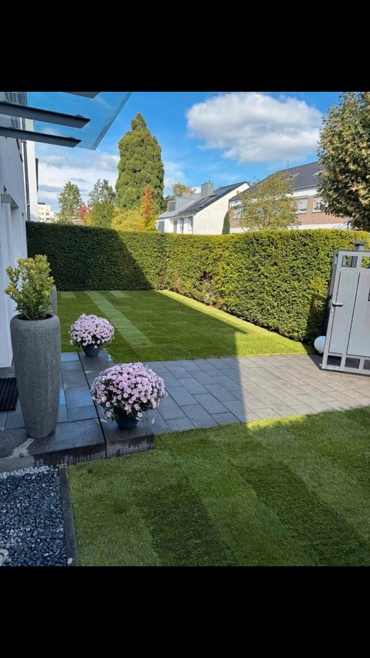 Neu gestalteter Garten mit Rasenfläche